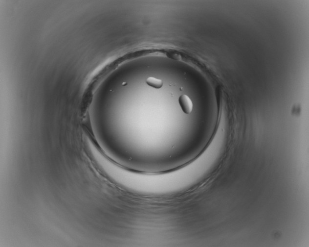 X0000114211165200910091317