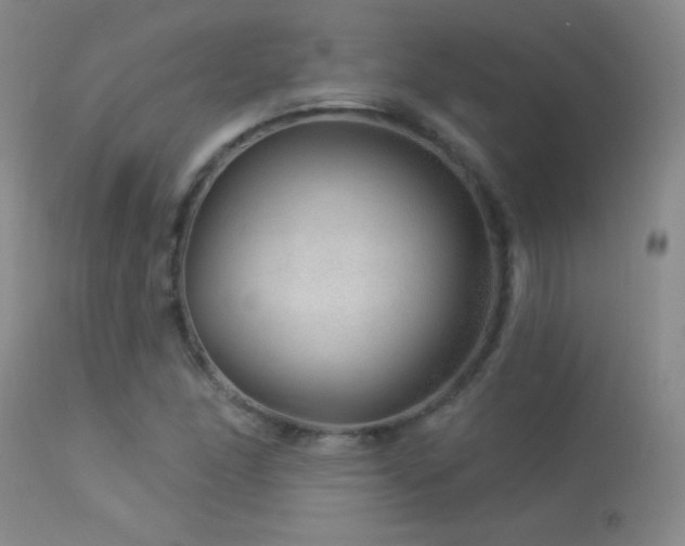 X0000114211166200910091317