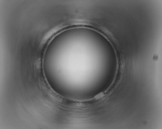 X0000114211167200910091317