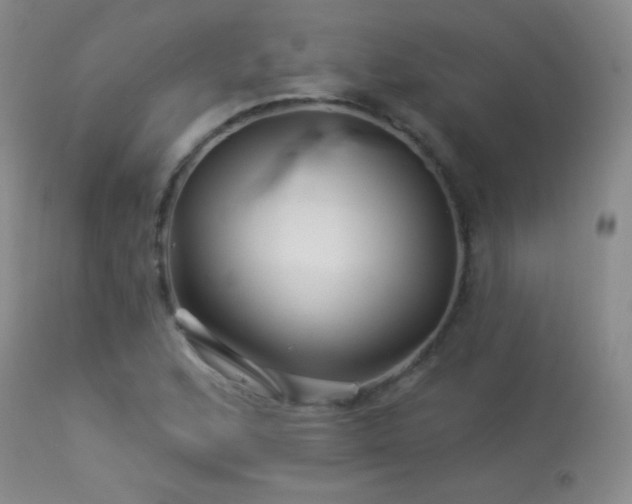 X0000114211168200910091317