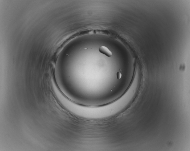 X0000114211169200910091317