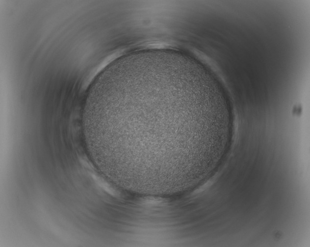 X0000114211170200910091317