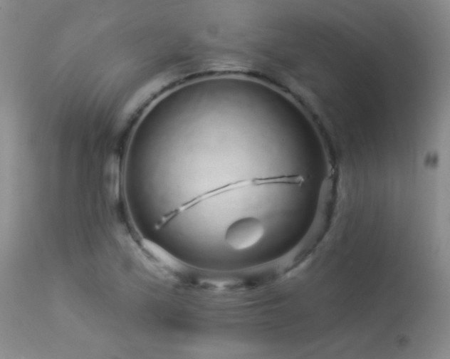 X0000114211171200910091317
