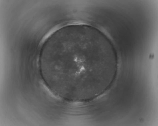 X0000114211173200910091317