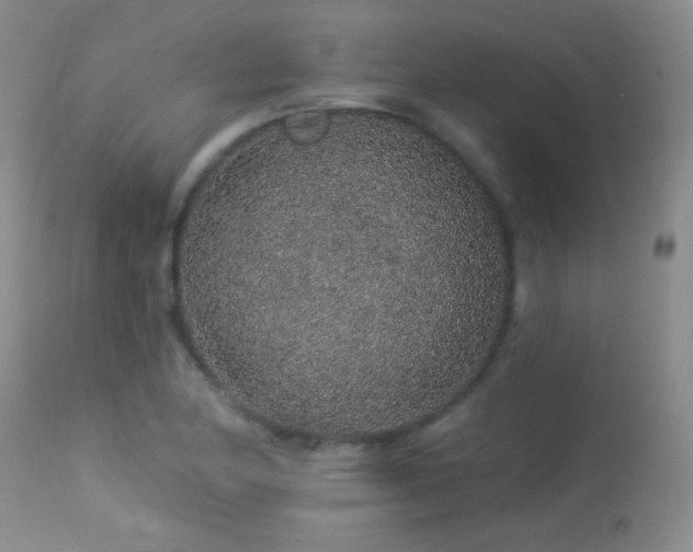 X0000114211174200910091317