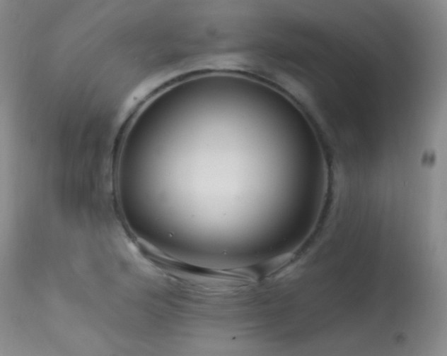 X0000114211176200910091317