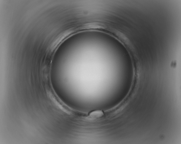 X0000114211177200910091317