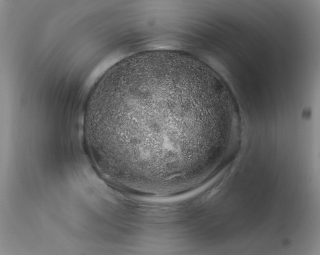 X0000114211179200910091317
