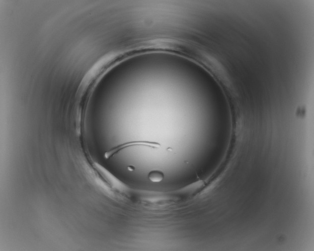 X0000114211180200910091317