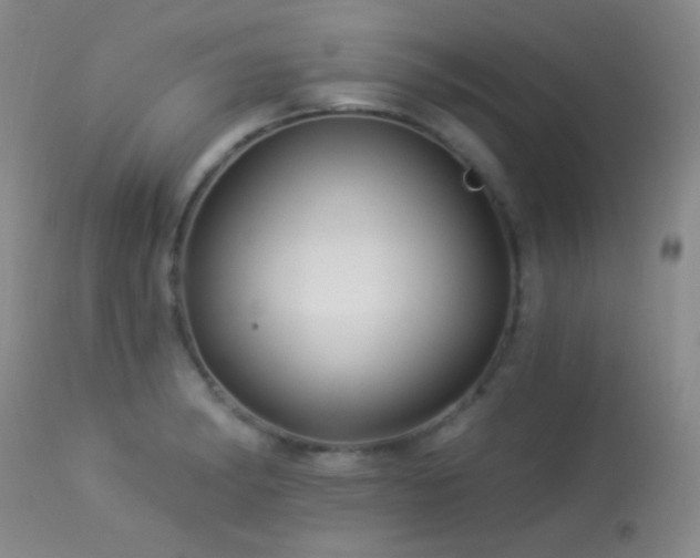 X0000114211182200910091317