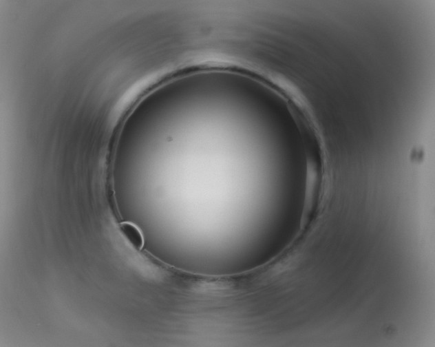 X0000114211183200910091317