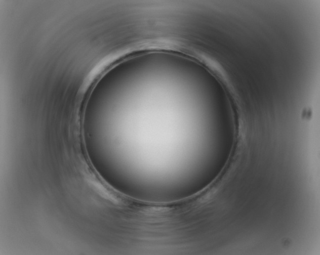 X0000114211184200910091316