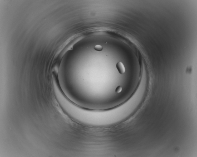 X0000114211185200910091316