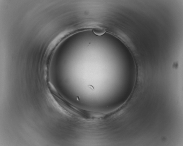 X0000114211188200910091316