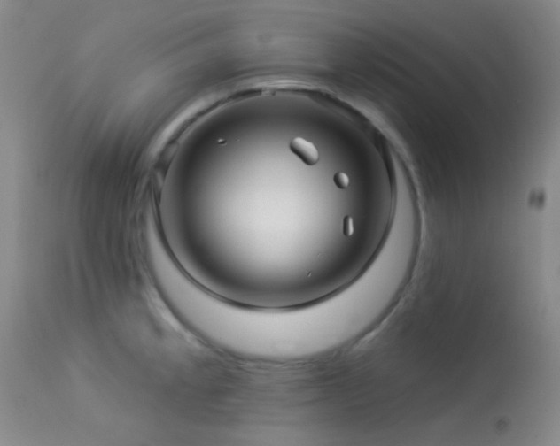 X0000114211189200910091316