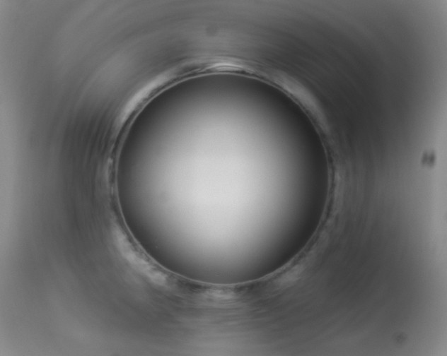 X0000114211190200910091316