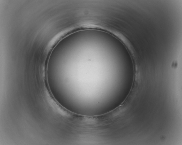 X0000114211191200910091316