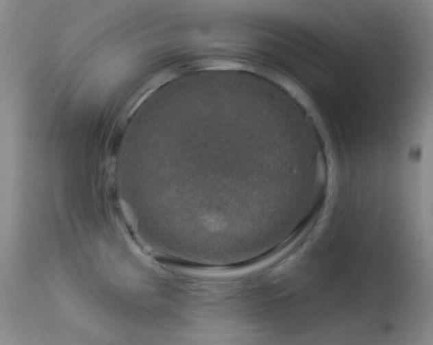 X0000114211193200910091316