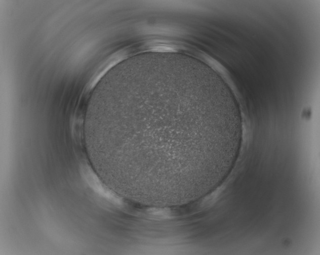 X0000114211194200910091316