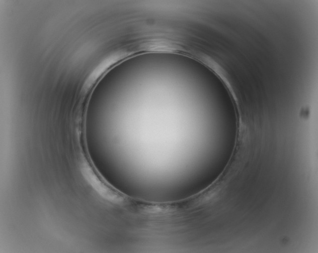 X0000114211195200910091316