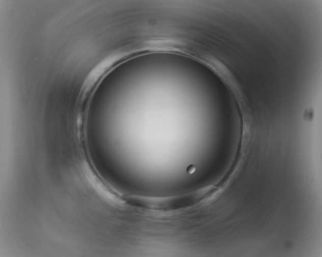 X0000114211196200910091316