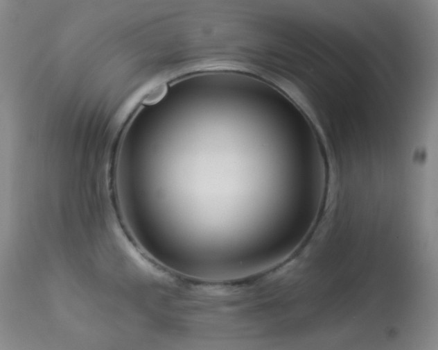 X0000114211197200910091316