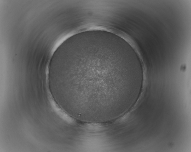 X0000114211198200910091316