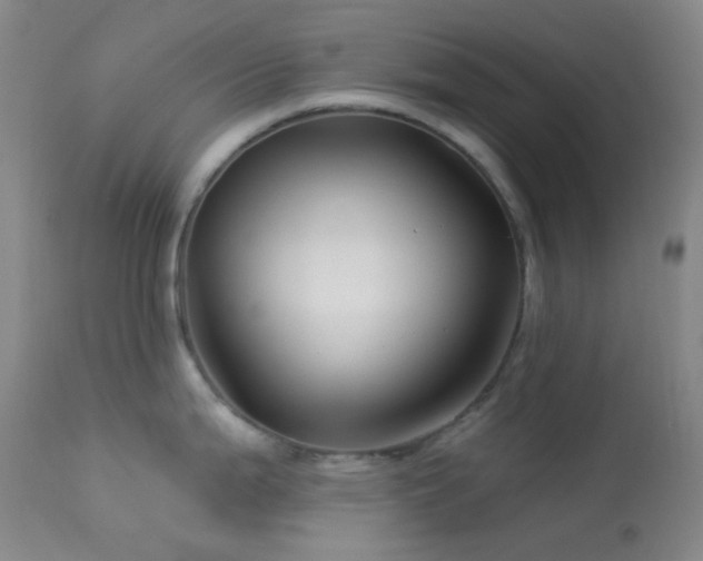 X0000114211199200910091316