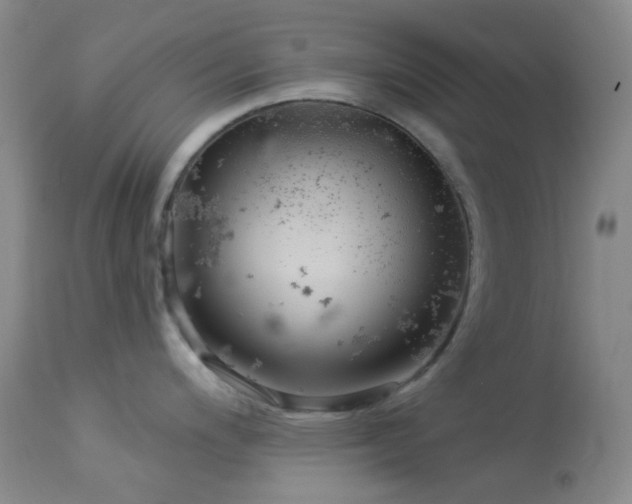 X0000114211200200910091316