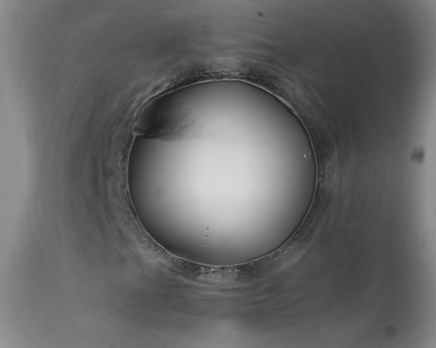 X0000114211201200910091316