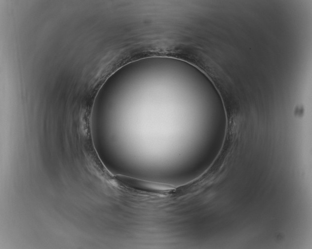 X0000114211202200910091316