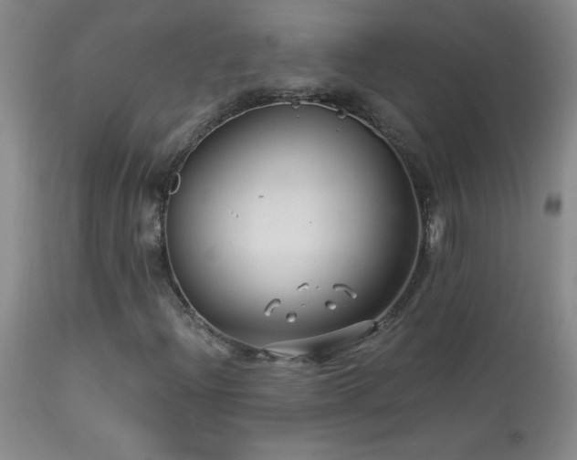 X0000114211204200910091316