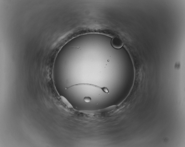 X0000114211205200910091316