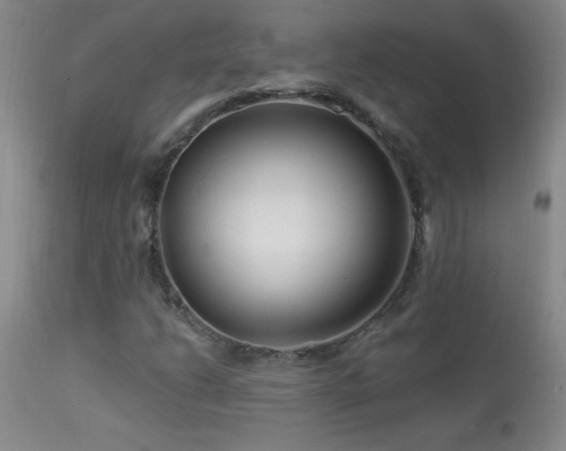 X0000114211206200910091316