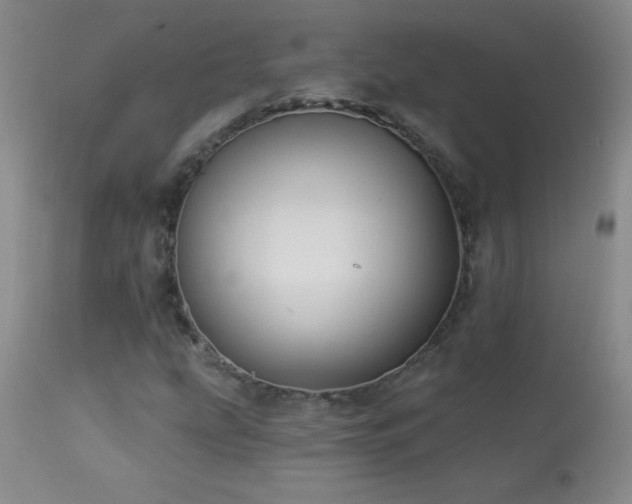 X0000114211207200910091316