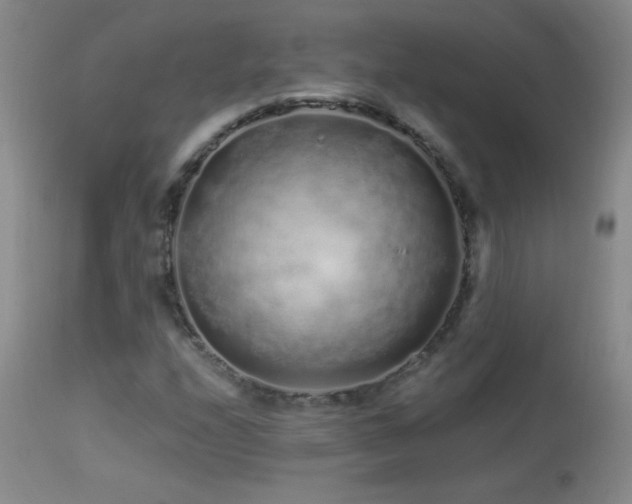 X0000114211208200910091316