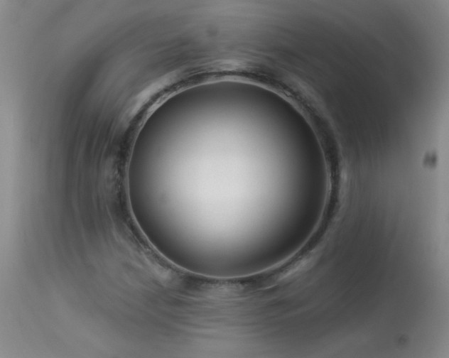 X0000114211210200910091316