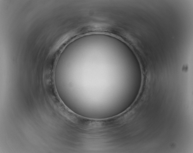X0000114211211200910091316