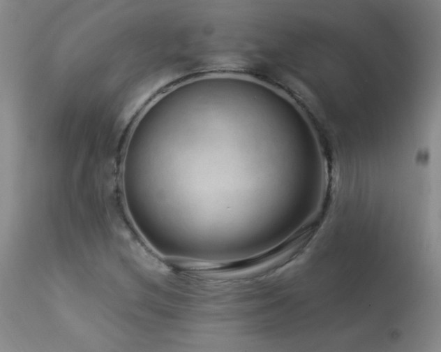 X0000114211212200910091316