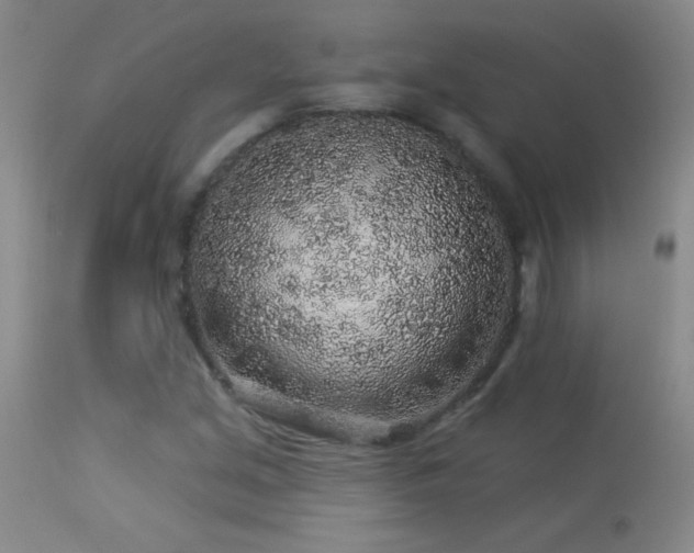 X0000114211213200910091316