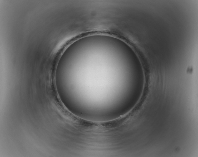 X0000114211214200910091316