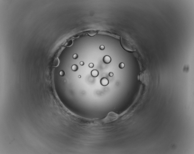 X0000114211215200910091316