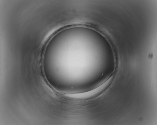 X0000114211216200910091316