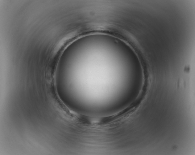 X0000114211218200910091316