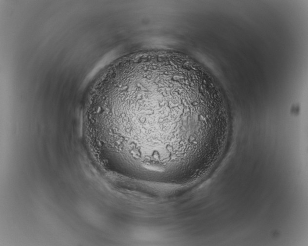 X0000114211219200910091316