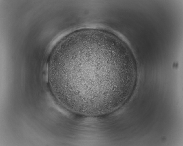X0000114211223200910091316