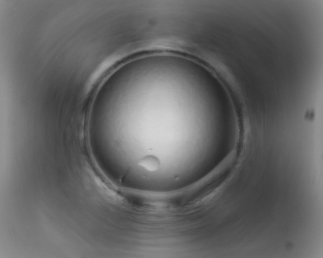 X0000114211224200910091316