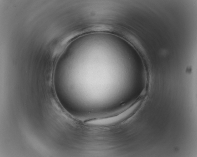 X0000114211228200910091316