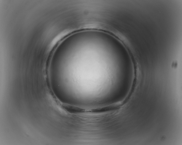 X0000114211230200910091316