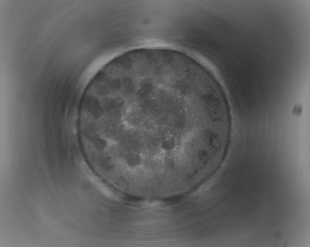 X0000114211231200910091316